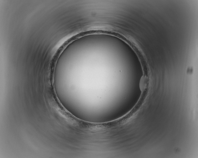 X0000113120830200908281436