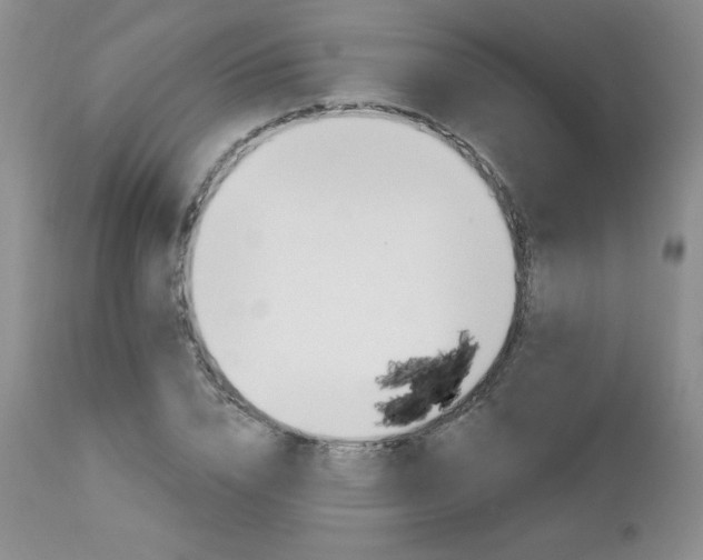 X0000113120832200908281436