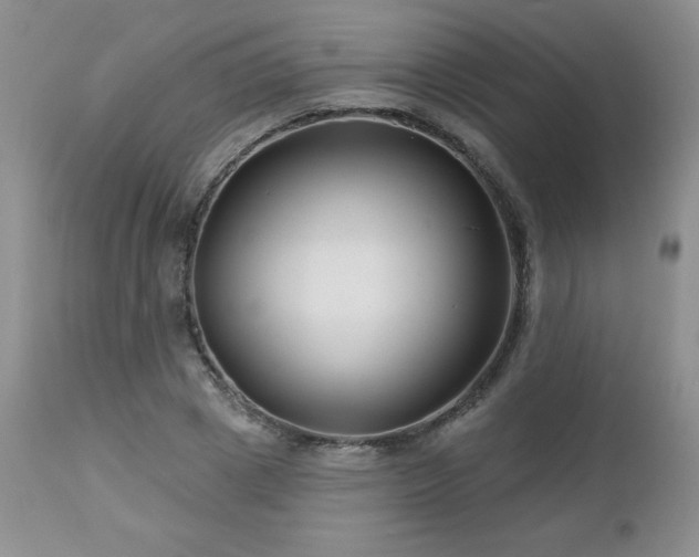 X0000113120833200908281436