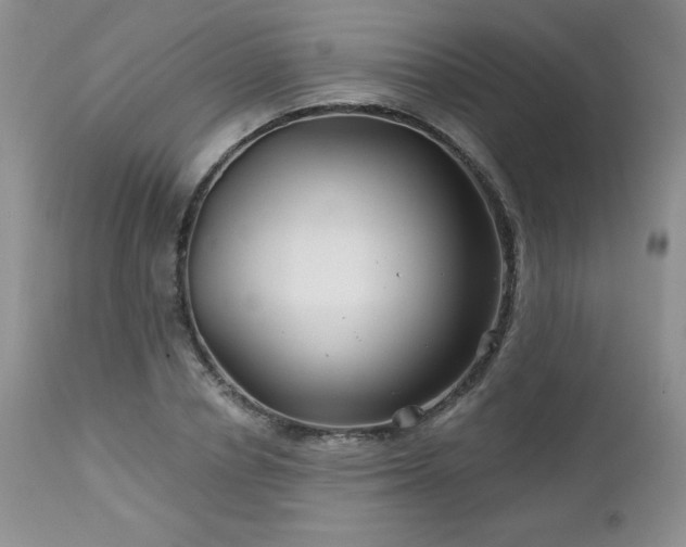 X0000113120834200908281436