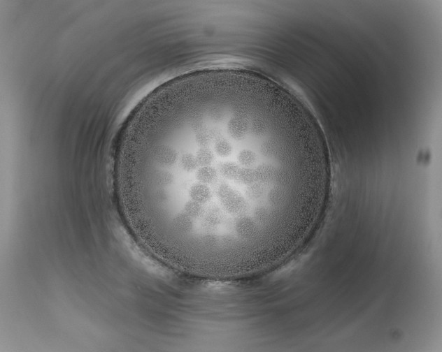 X0000113120835200908281436