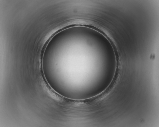 X0000113120837200908281436