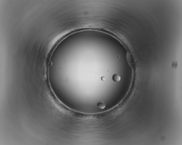 X0000113120838200908281436