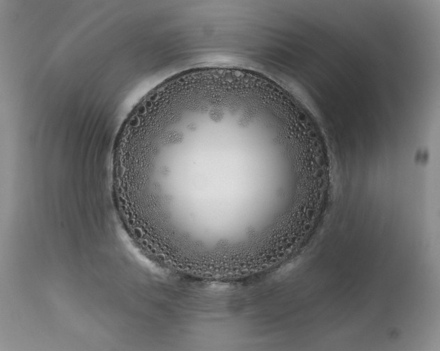 X0000113120839200908281436