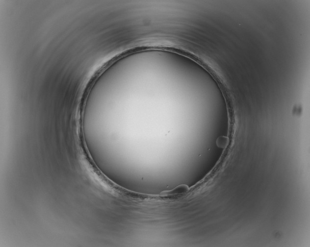 X0000113120840200908281436