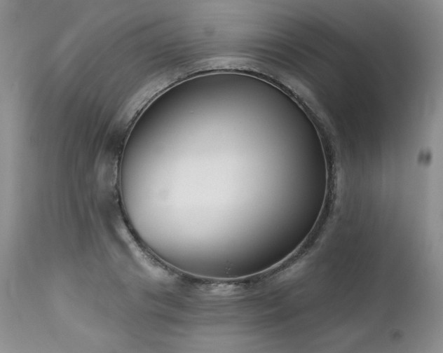 X0000113120841200908281436