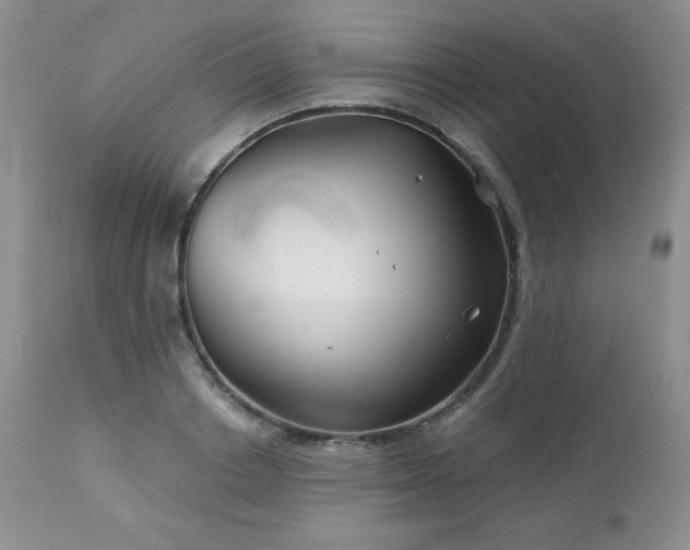 X0000113120842200908281436