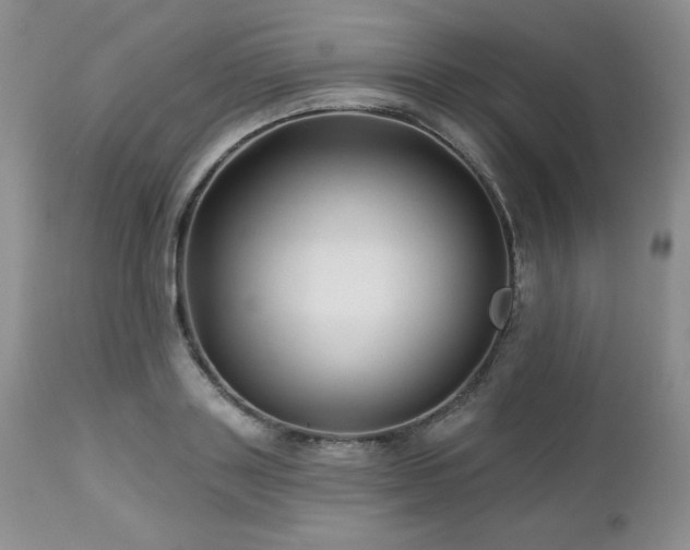 X0000113120843200908281436