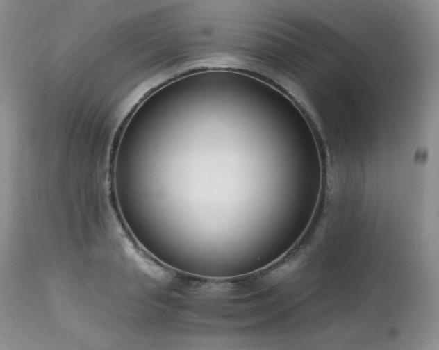 X0000113120845200908281436