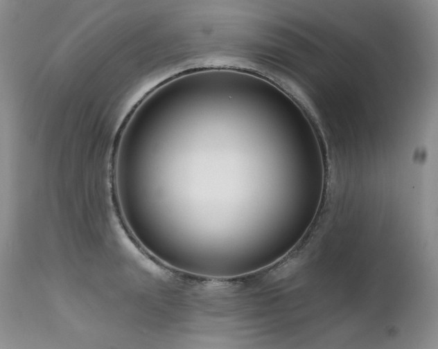 X0000113120847200908281436