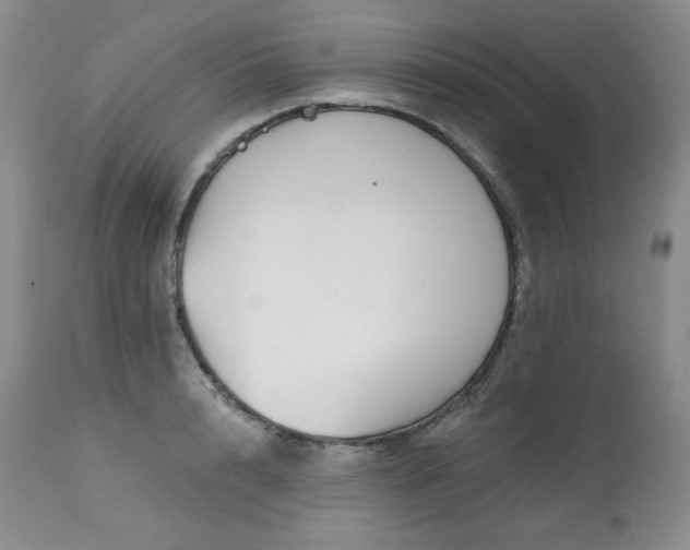 X0000113120848200908281436