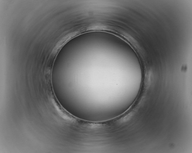 X0000113120849200908281436