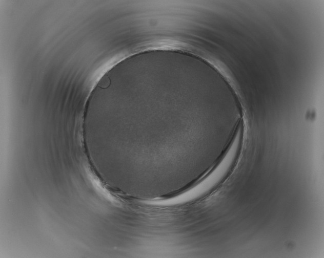 X0000113120850200908281436