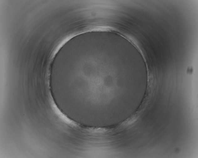 X0000113120851200908281436