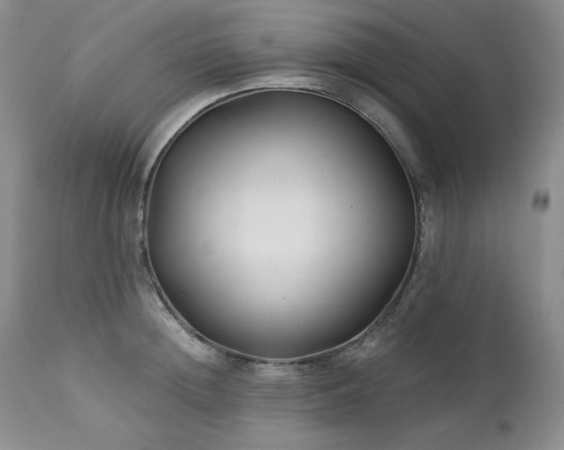 X0000113120852200908281436