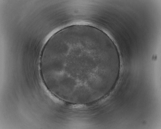 X0000113120853200908281436