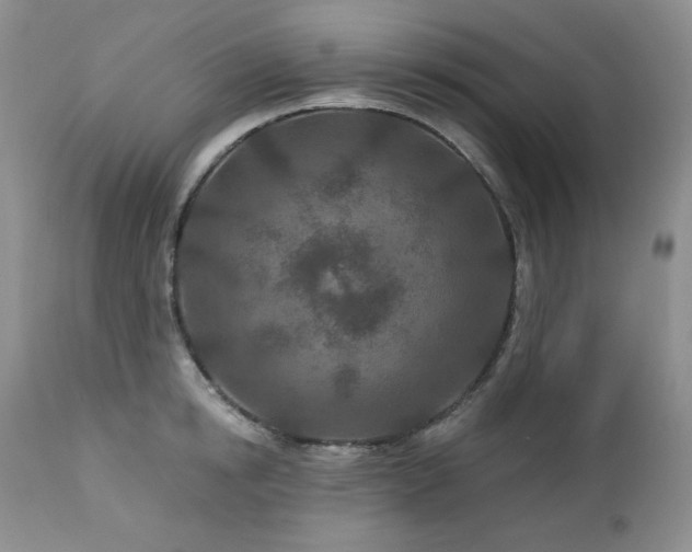 X0000113120854200908281436