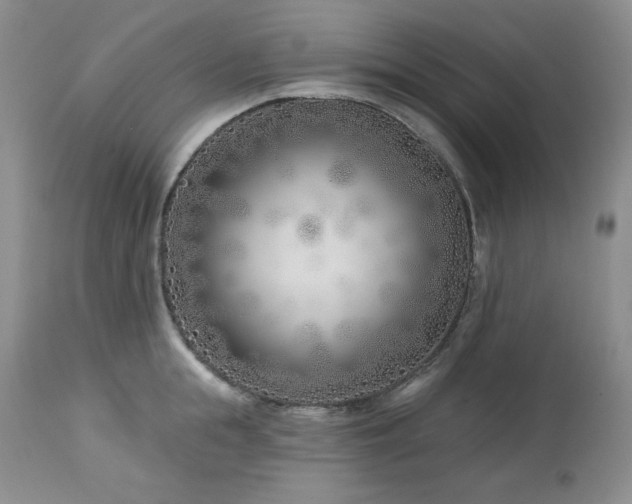 X0000113120855200908281436