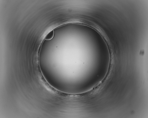 X0000113120858200908281436