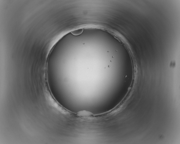 X0000113120860200908281436