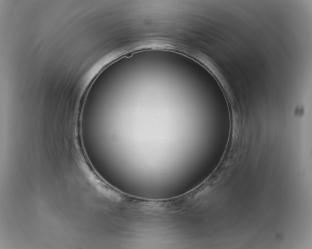 X0000113120861200908281436