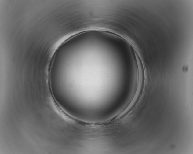 X0000113120862200908281436