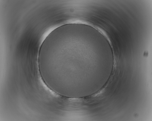 X0000113120863200908281436