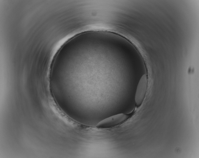 X0000113120864200908281436