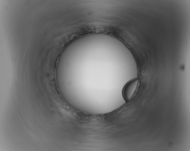 X0000113120865200908281435