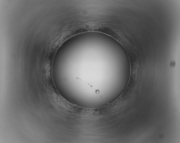 X0000113120866200908281435