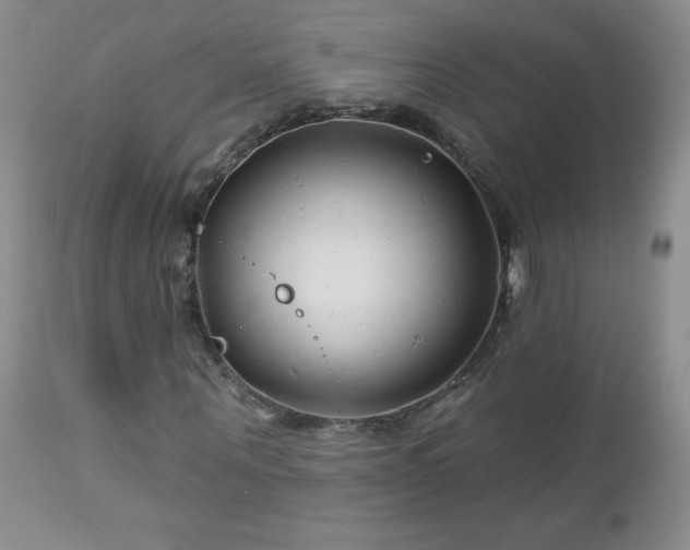 X0000113120867200908281435