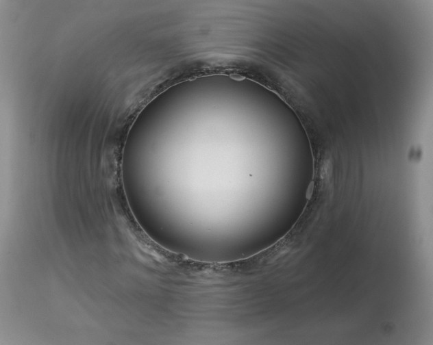 X0000113120868200908281435