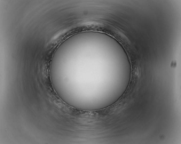 X0000113120869200908281435