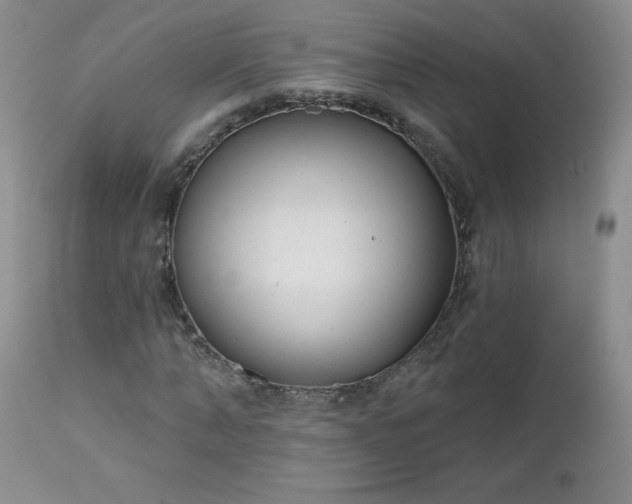 X0000113120870200908281435