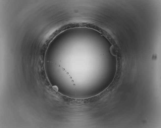 X0000113120871200908281435