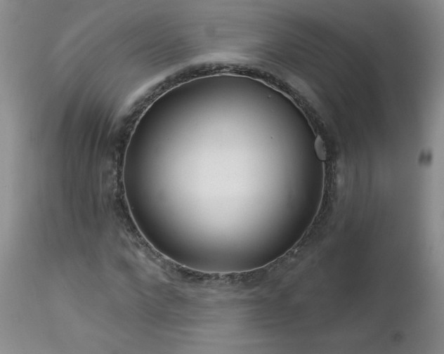 X0000113120872200908281435