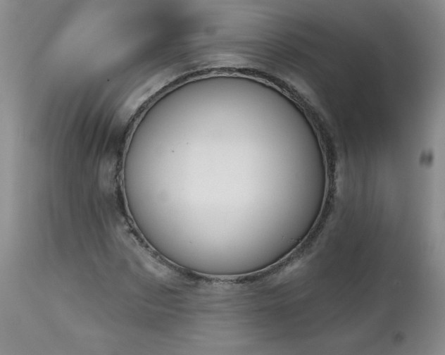 X0000113120873200908281435