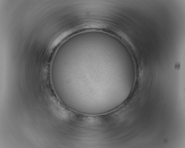 X0000113120874200908281435