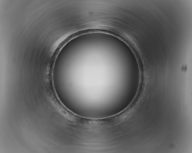 X0000113120875200908281435