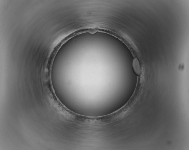 X0000113120876200908281435