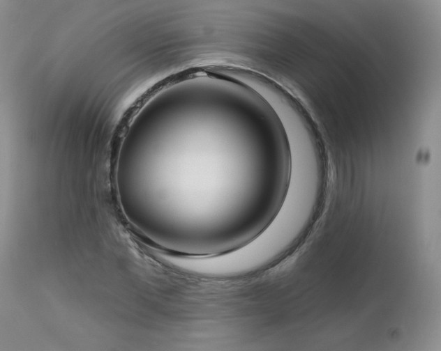 X0000113120877200908281435