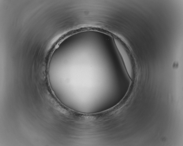 X0000113120878200908281435