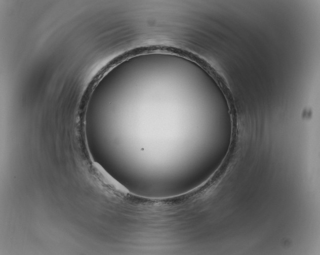 X0000113120879200908281435