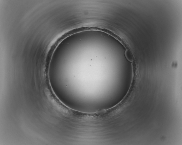 X0000113120880200908281435