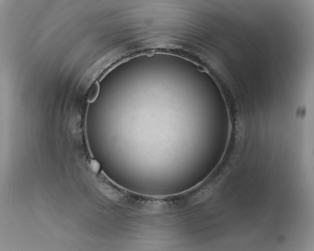 X0000113120881200908281435