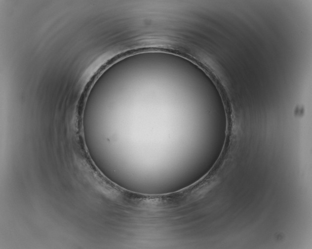 X0000113120883200908281435