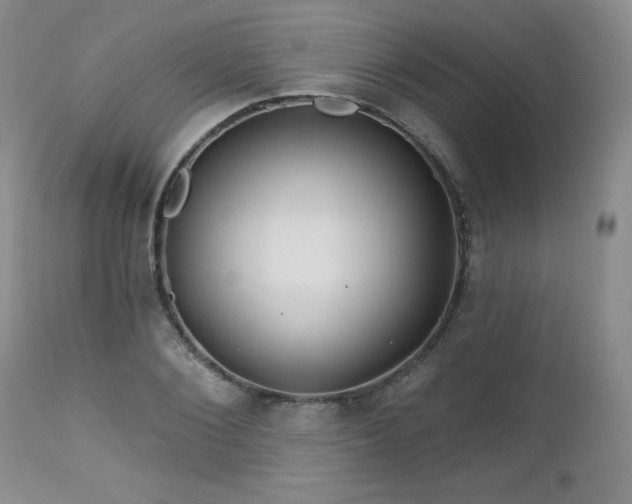 X0000113120884200908281435