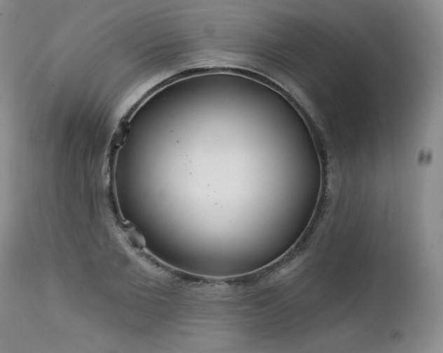 X0000113120885200908281435