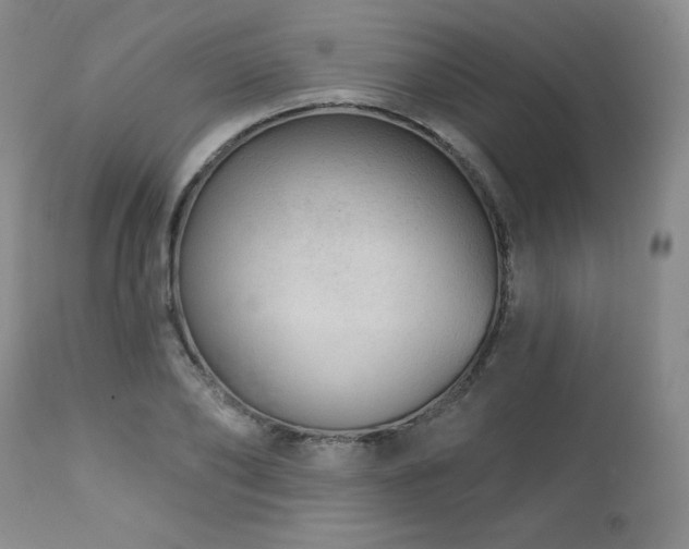 X0000113120886200908281435