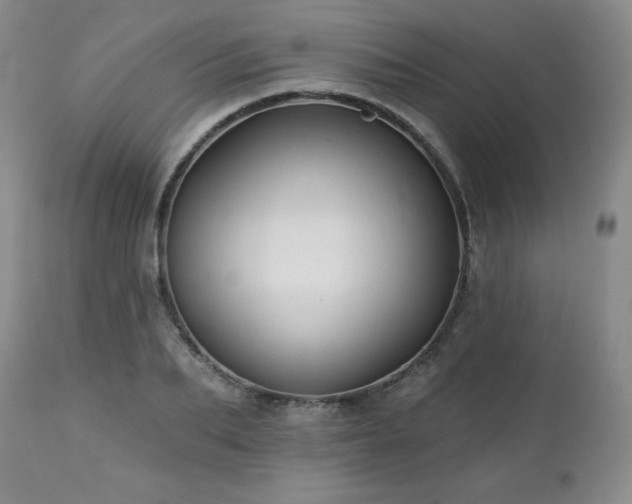 X0000113120887200908281435